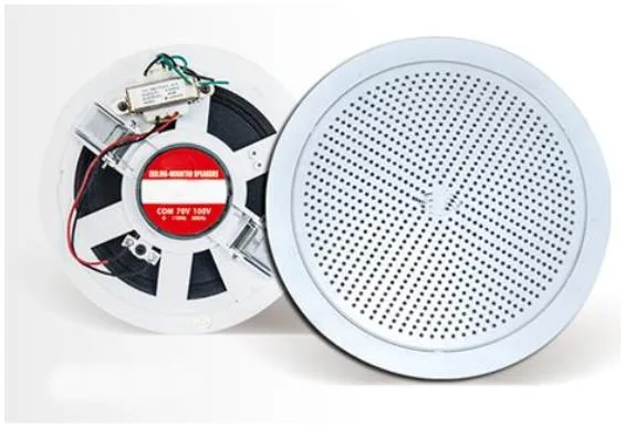 ECX-105 5" 6W Ceiling speaker 2