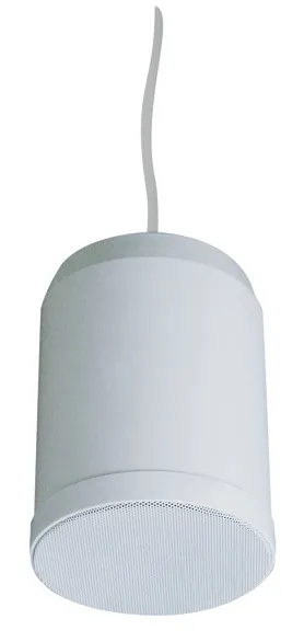 EC-110 10W/20W Indoor Pendant Speaker