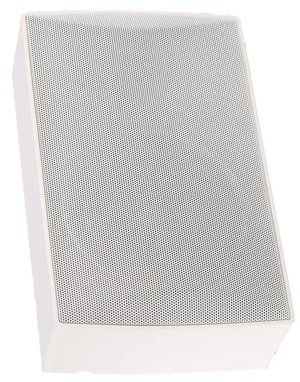 ECXX-110 4"+1" 10W Wall Mount Speaker 2