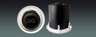 10″ Wide Frequency Ceiling Speaker
