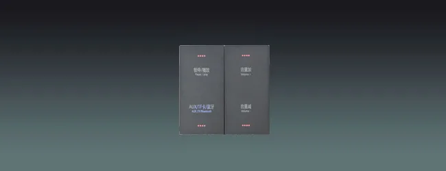 2-CH Wall Amplifier