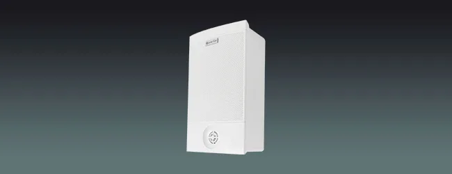 2-Way Wall Mount Speaker with Tweeter