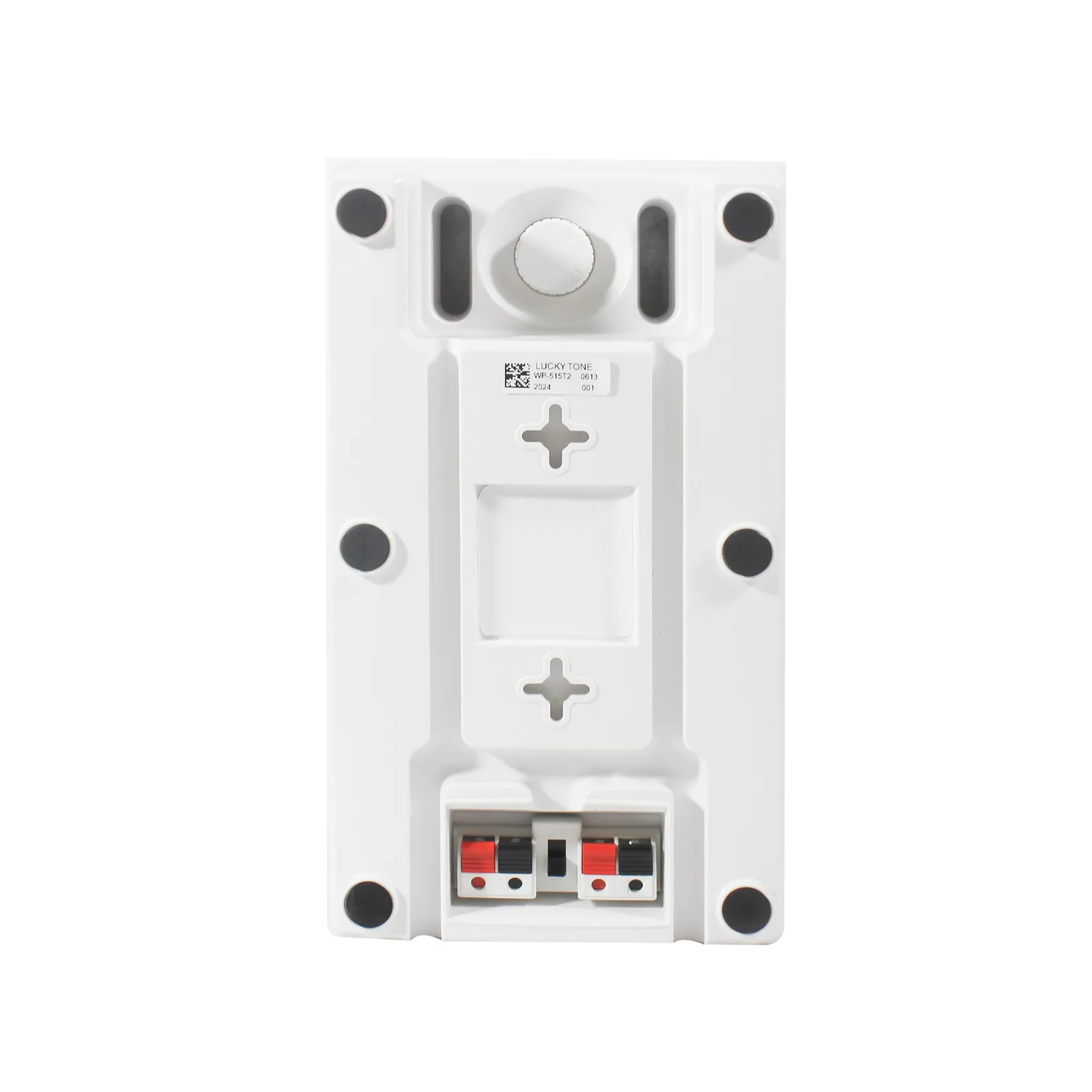 2-Way Wall Mount Speaker with Tweeter 6