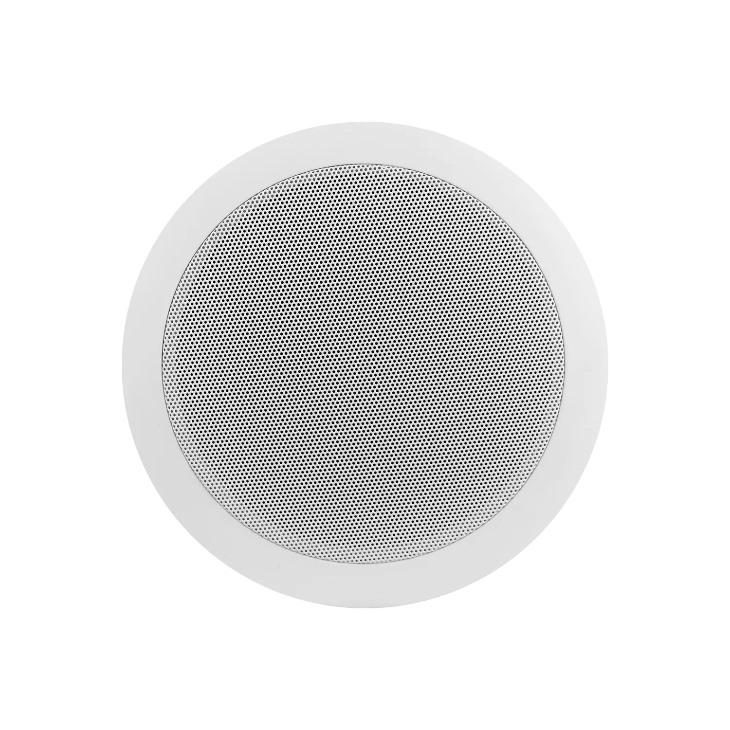 5.25-Inch Ceiling Speaker 10