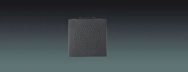 5W Mini Wall Speaker