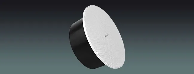6″ Twin Cone Marine Ceiling Speaker