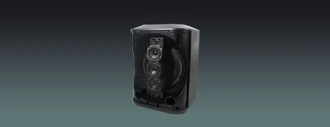 8-Inch Portable Speaker