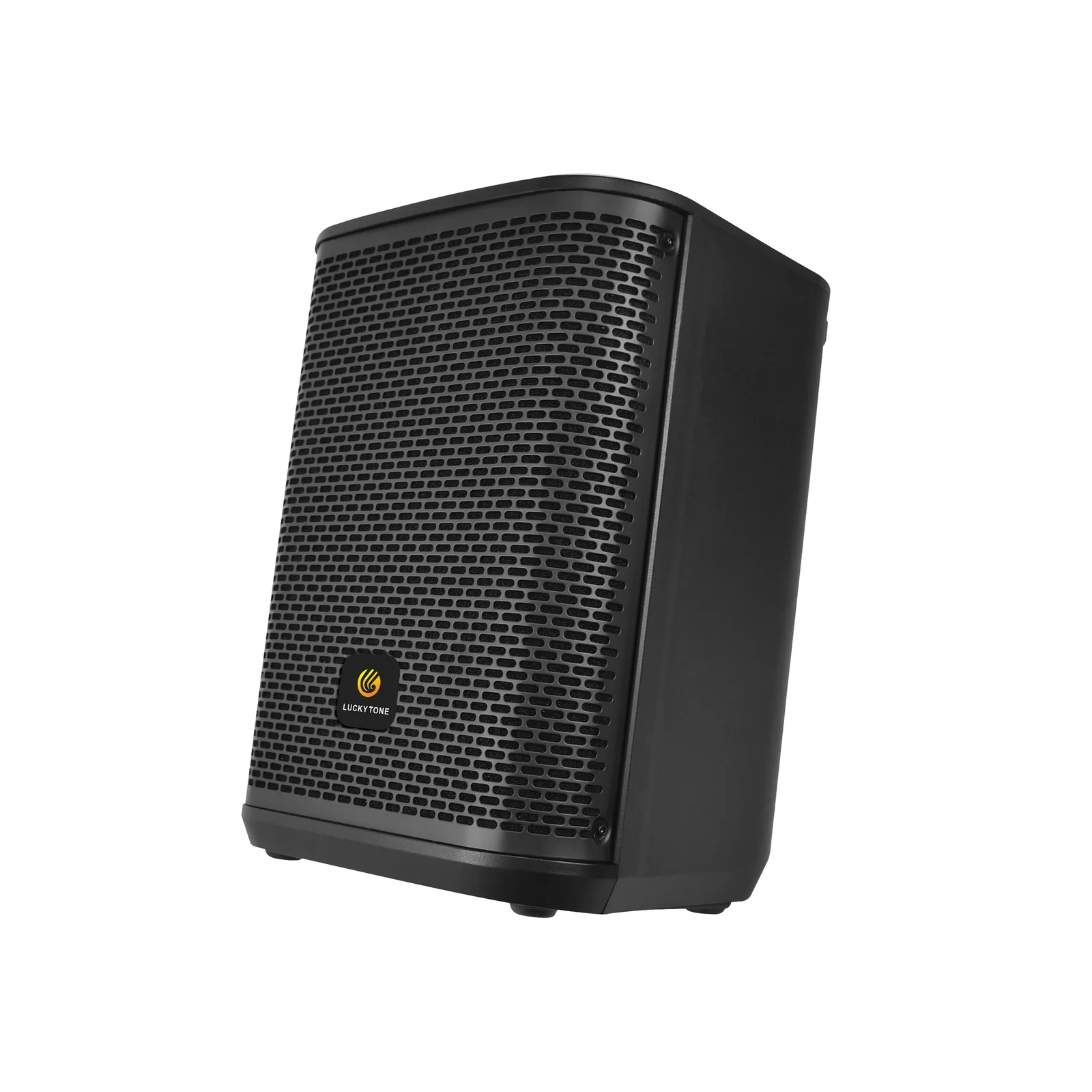 8-Inch Portable Speaker 7