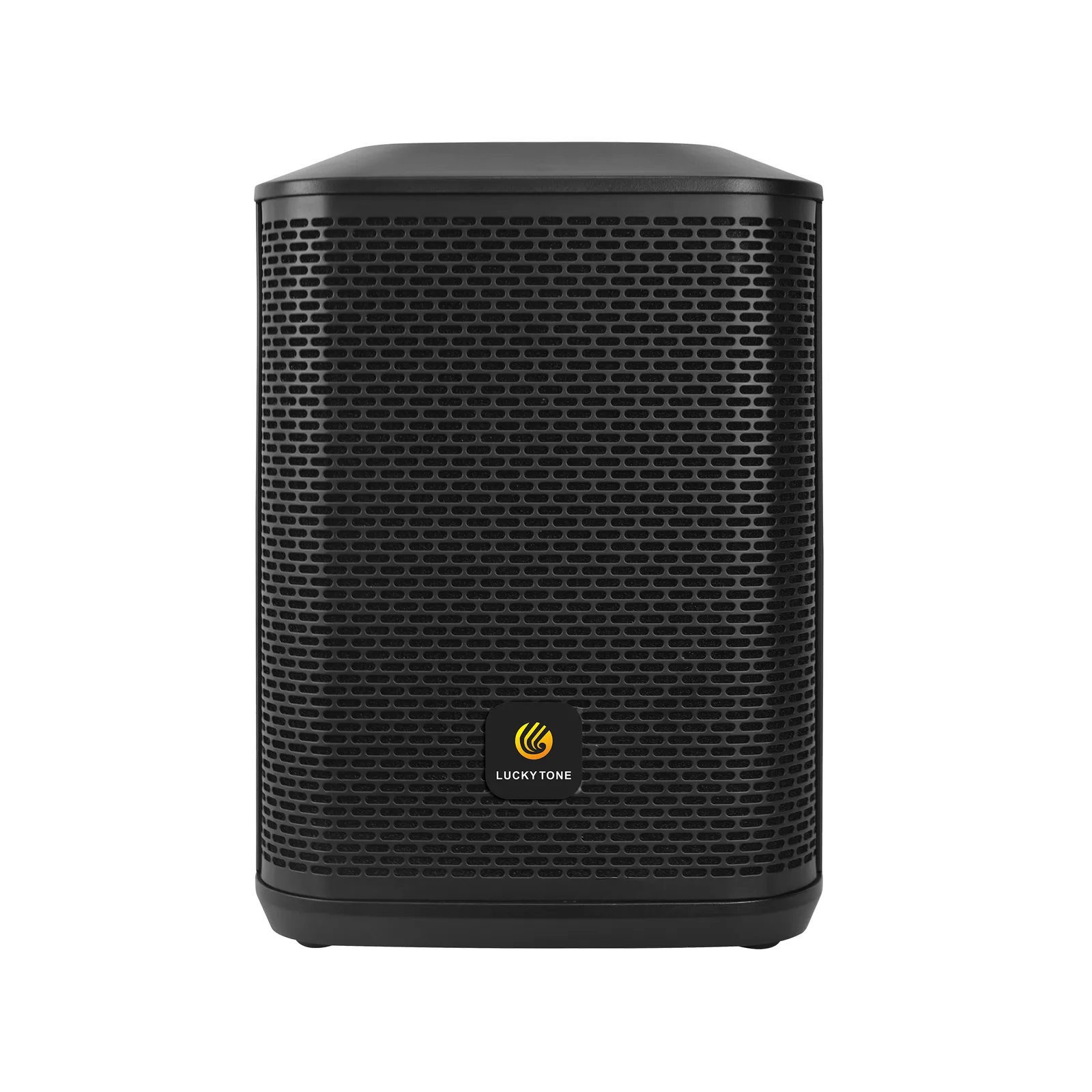 8-Inch Portable Speaker 10