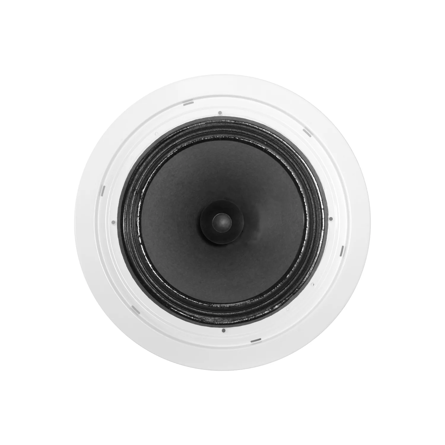 8″ Metal Ceiling Speaker 5