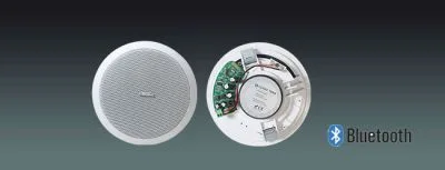 Bluetooth Ceiling Speakers
