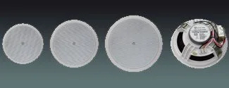 Cost-effective ABS ceiling speaker