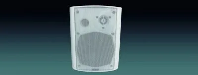 Dante Cabinet Speaker