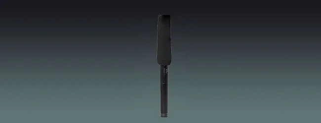 Directional Condenser Microphone