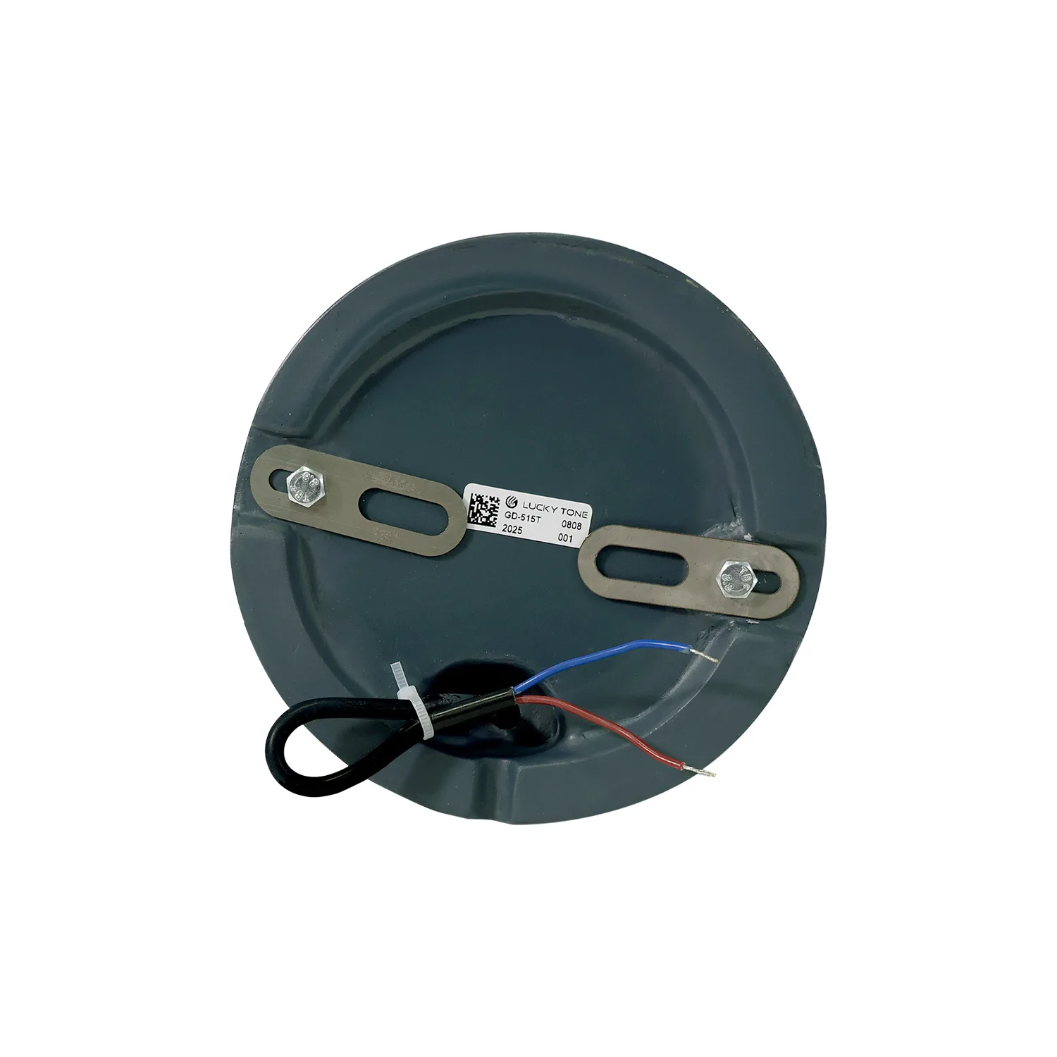 Ground Mounted Garden Speaker 7
