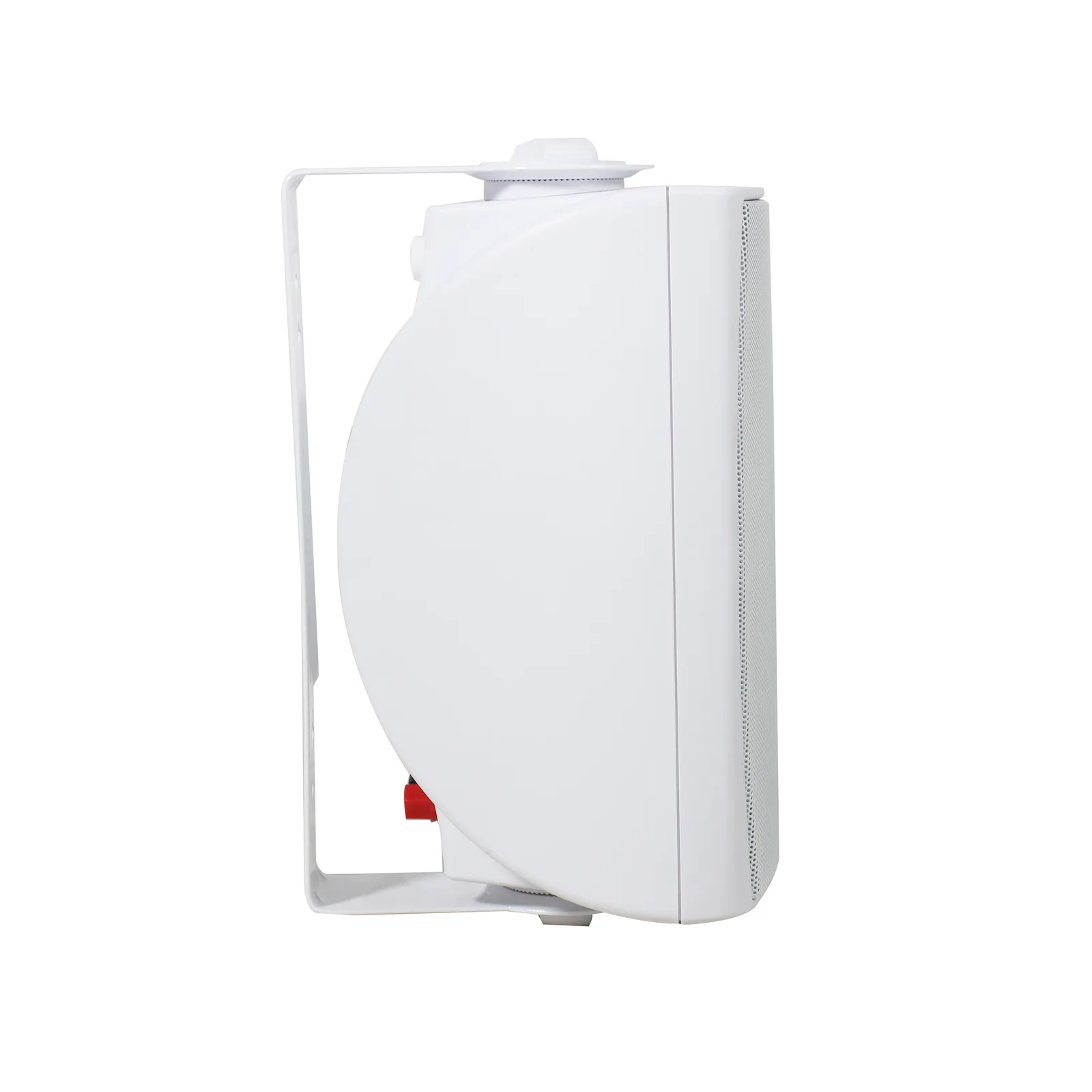 High Fidelity Wall-mounted Speakers 5