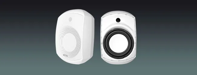 Indoor Wall Mount Subwoofer