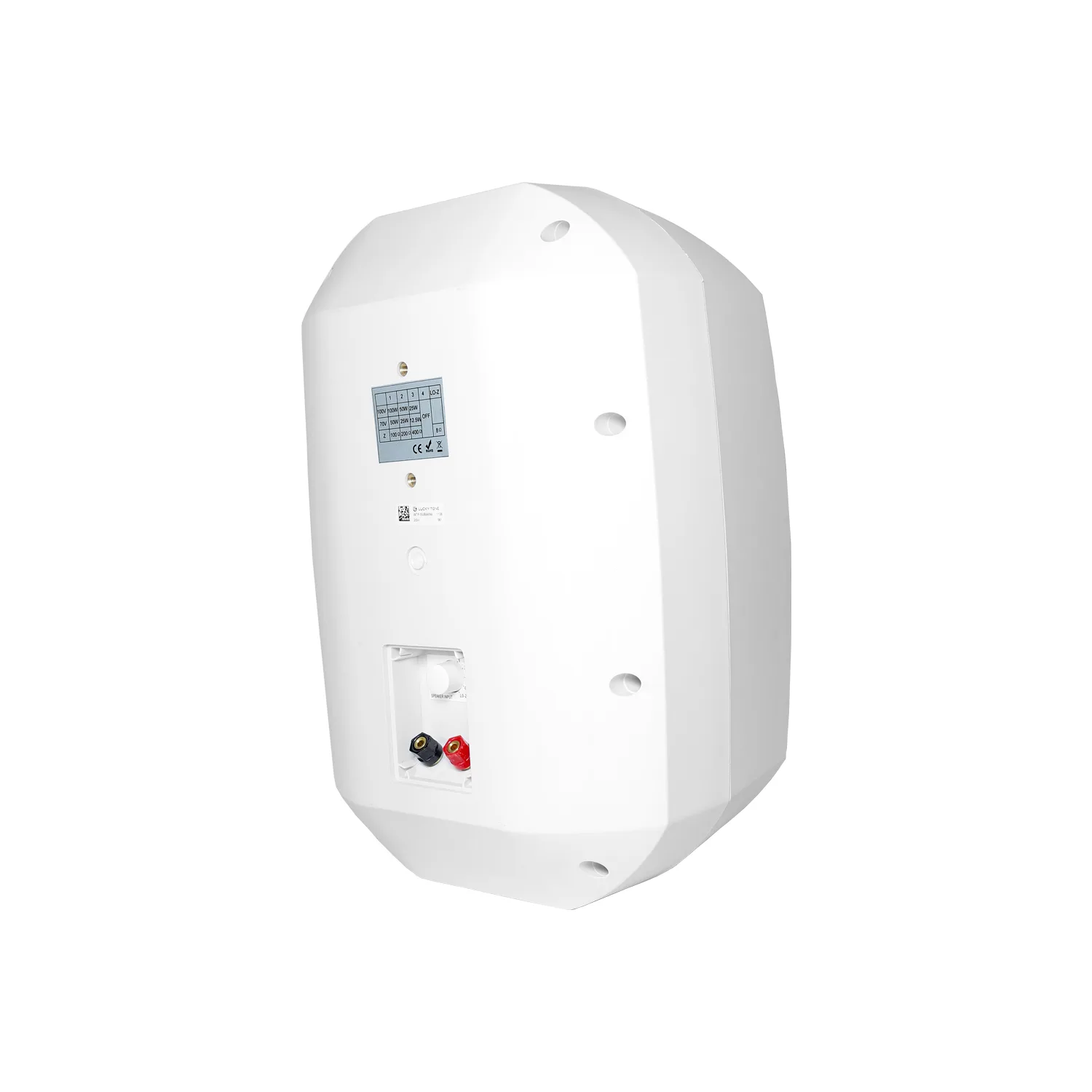 Indoor Wall Mount Subwoofer 2