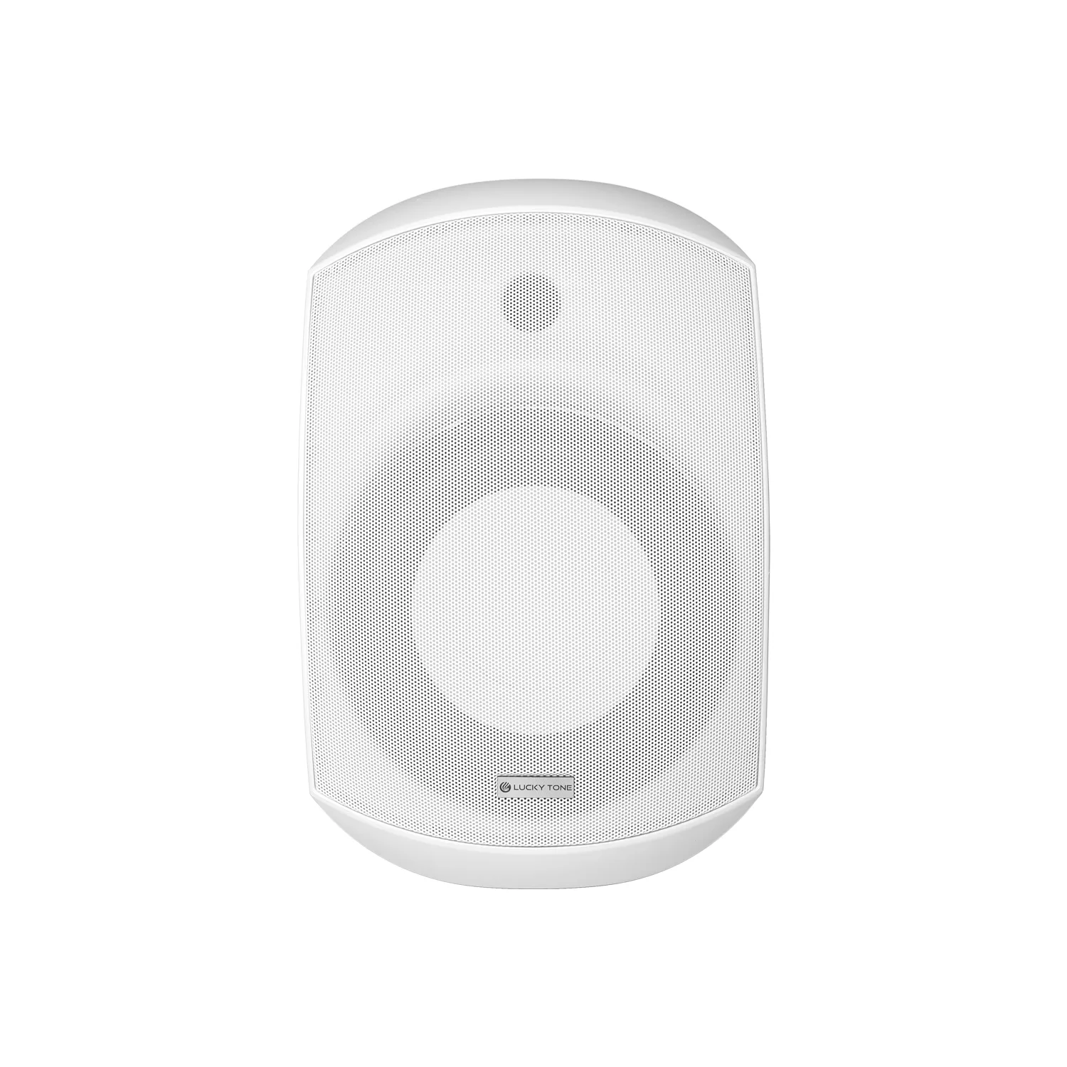 Indoor Wall Mount Subwoofer 6