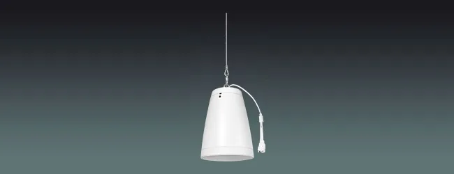 ONVIF Network Pendant Speaker