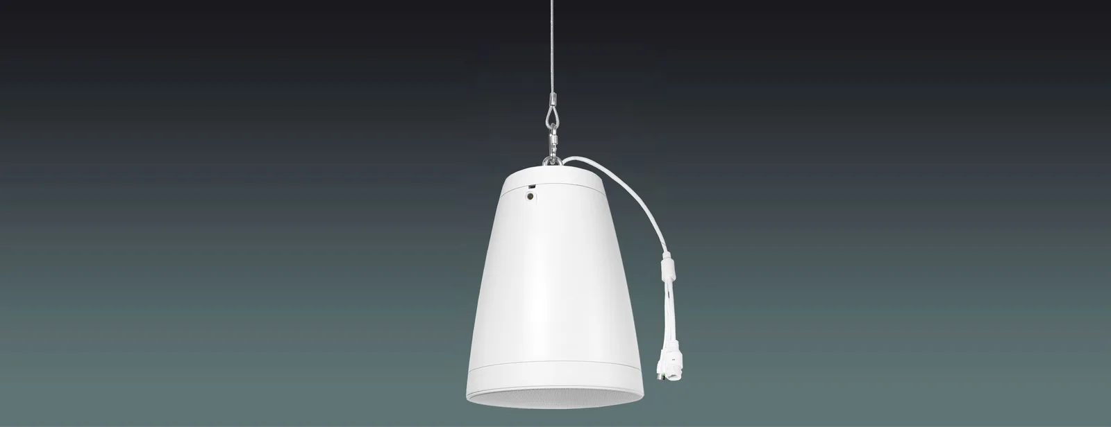 ONVIF Network Pendant Speaker 2