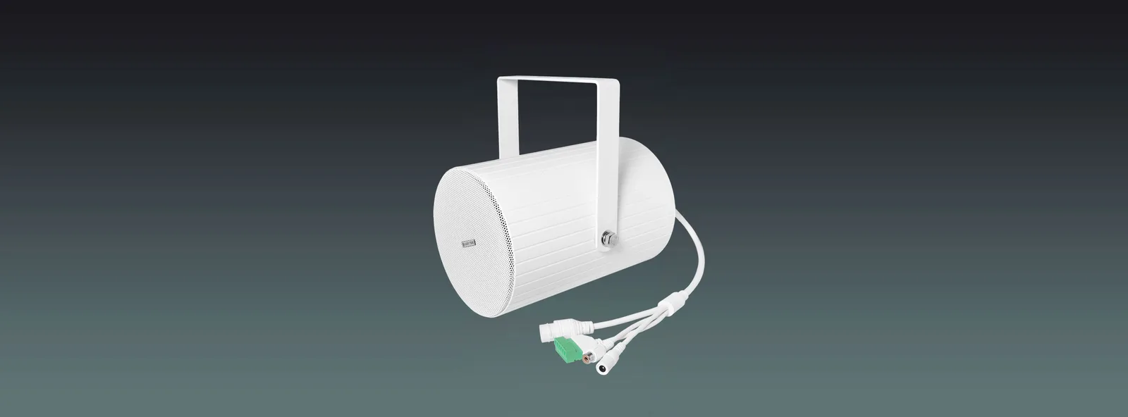 ONVIF Network Projection Speaker 7