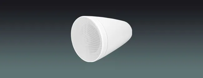 ONVIF Network Wall Speaker
