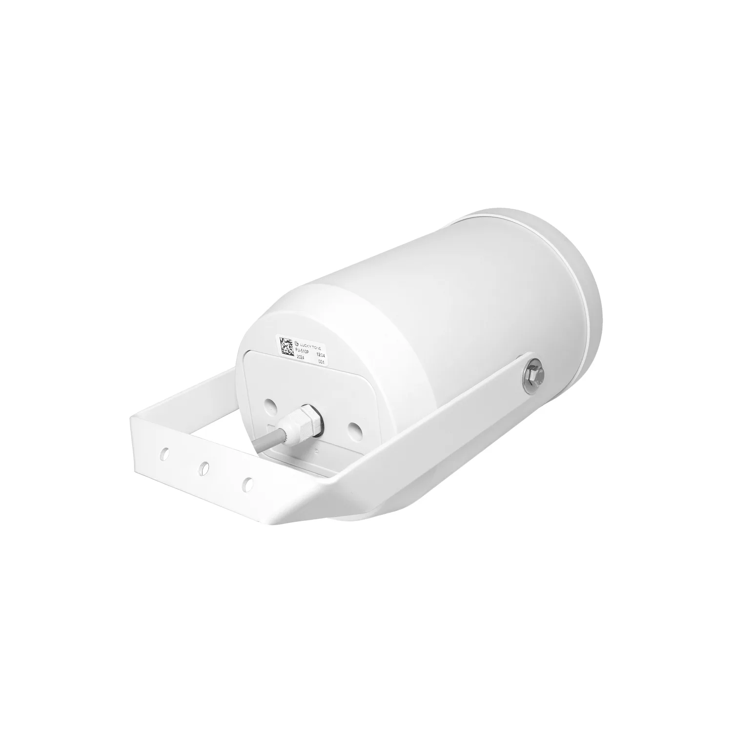 Outdoor Directional Speaker 2
