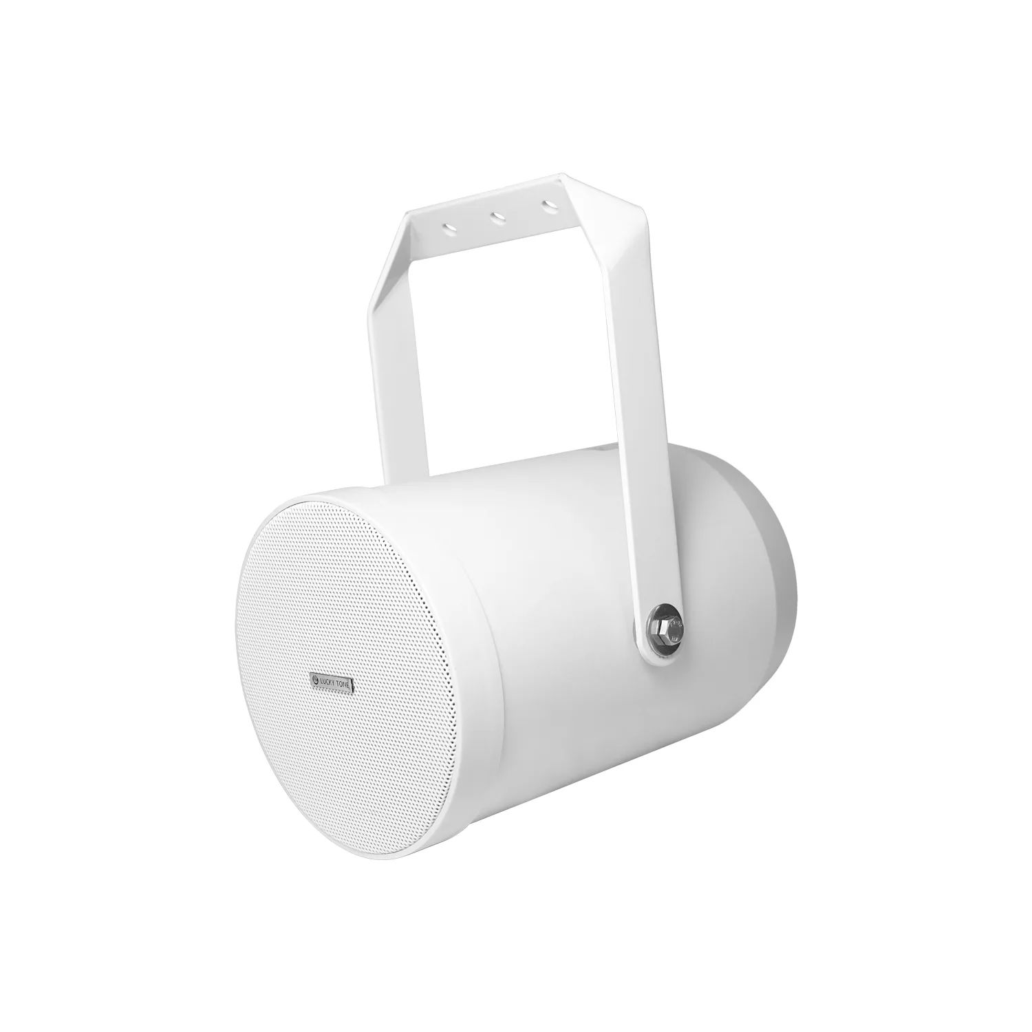 Outdoor Directional Speaker 6