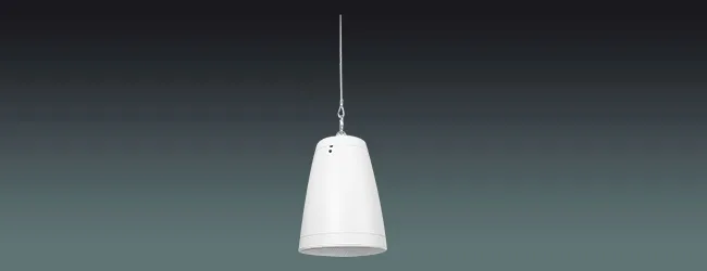 Pendant Subwoofer