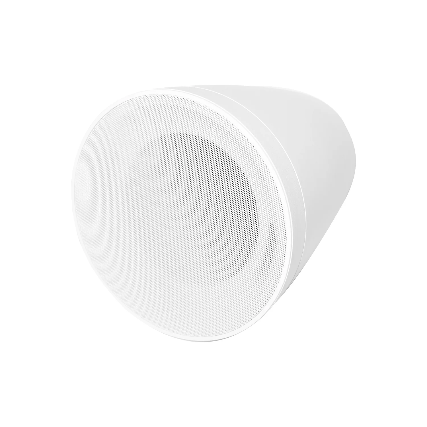 Pendant Subwoofer 3