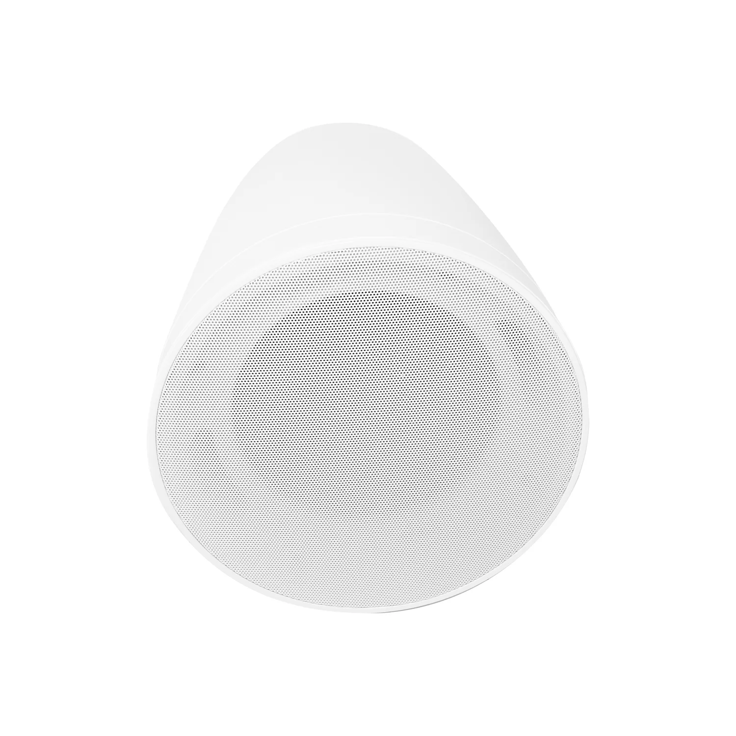 Pendant Subwoofer 4