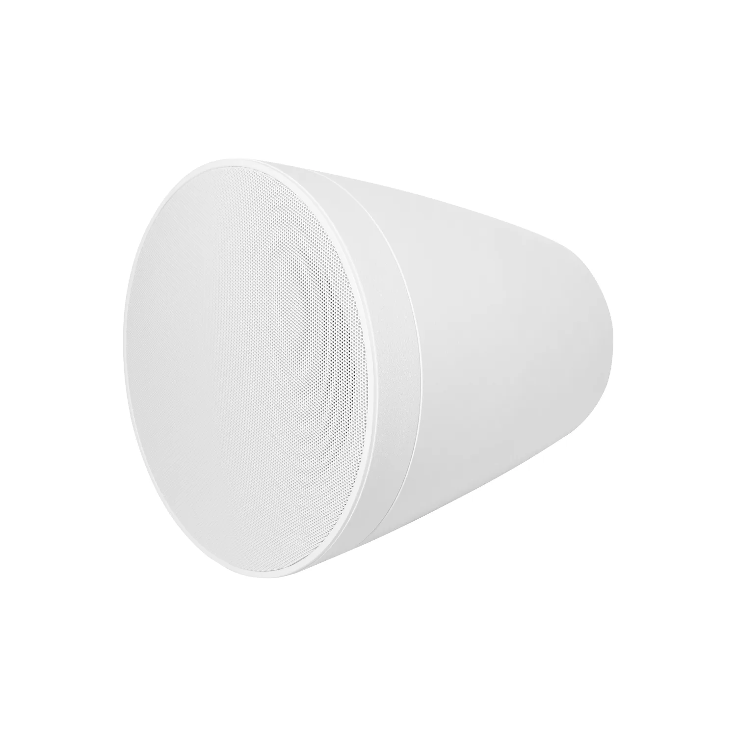 Pendant Subwoofer 5