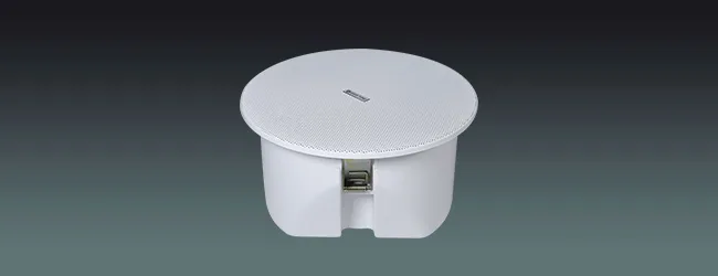 Rimless Ceiling Speaker