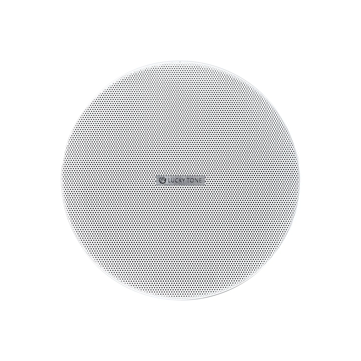 Rimless Ceiling Speaker 11