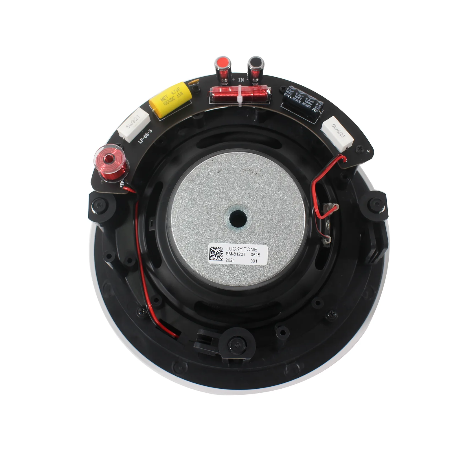 Tilted Rimless Ceiling Speaker 2