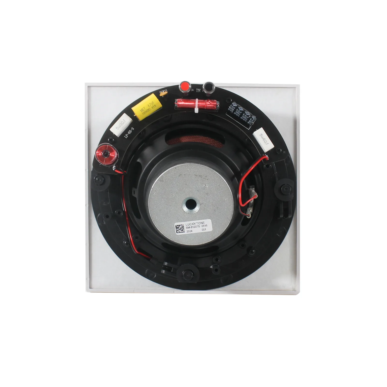 Tilted Rimless Ceiling Speaker 8