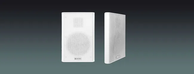 Ultra-thin Wall Mount Speaker