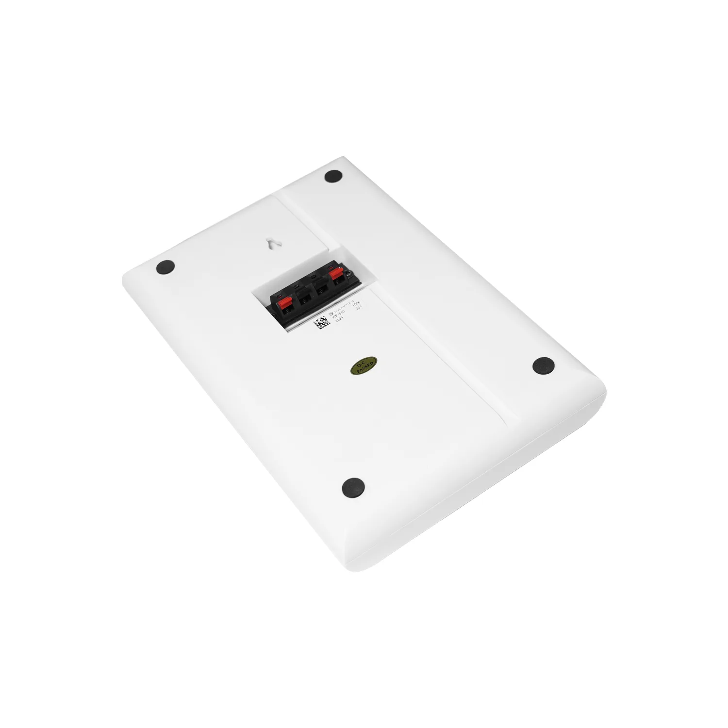 Ultra-thin Wall Mount Speaker 3
