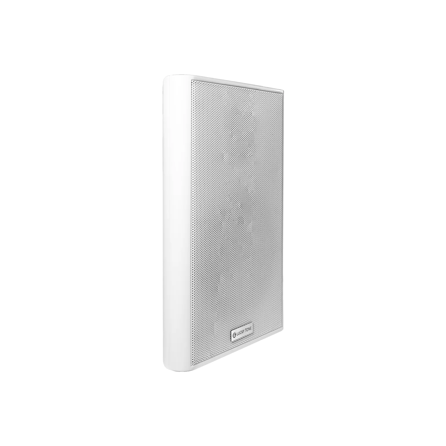 Ultra-thin Wall Mount Speaker 5