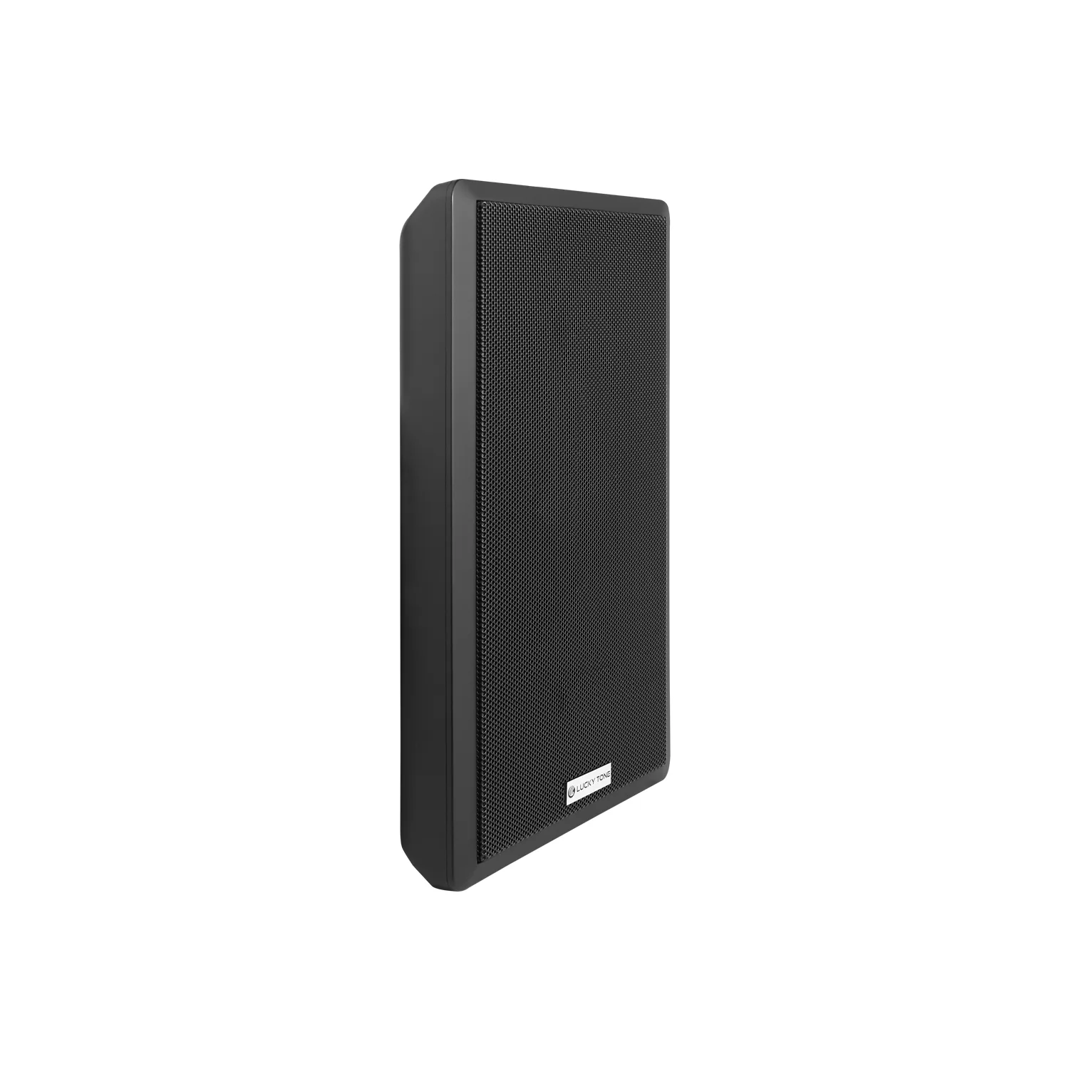 Ultra-thin Wall Mount Speaker 5