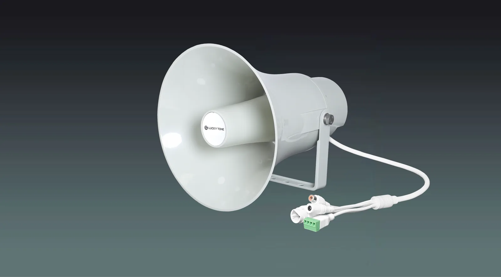 ONVIF Network Horn Speaker 3