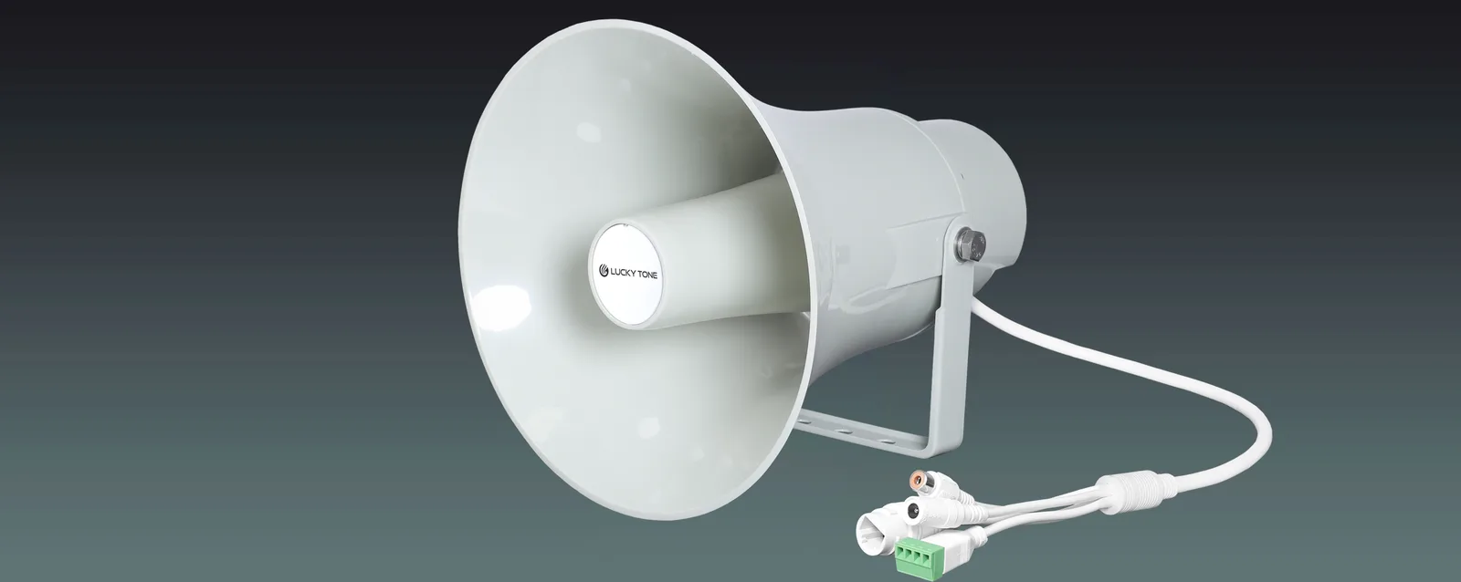 ONVIF Network Horn Speaker 7