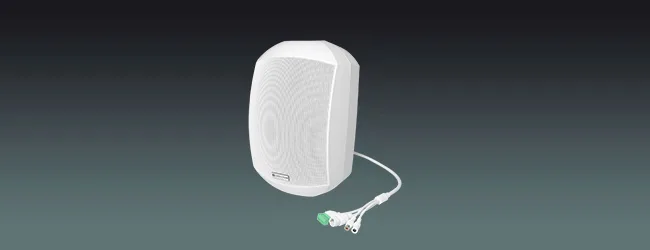 ONVIF Network Wall Speaker