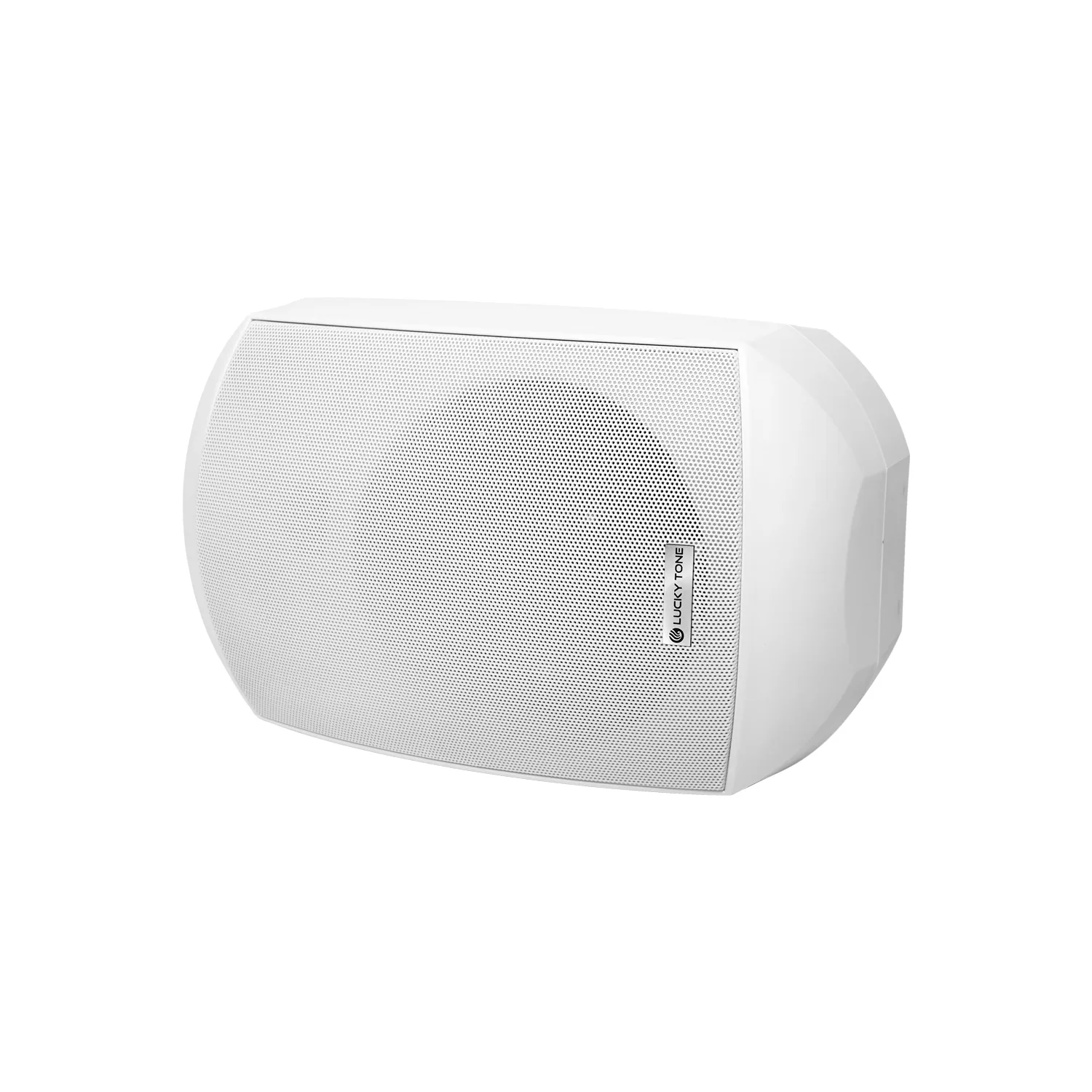 ONVIF Network Wall Speaker 3