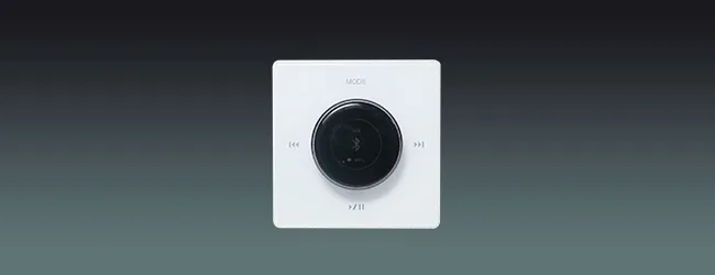 Volume Control with Amplifier & Color Screen