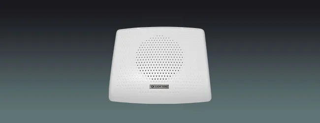 Wall Mount Speaker