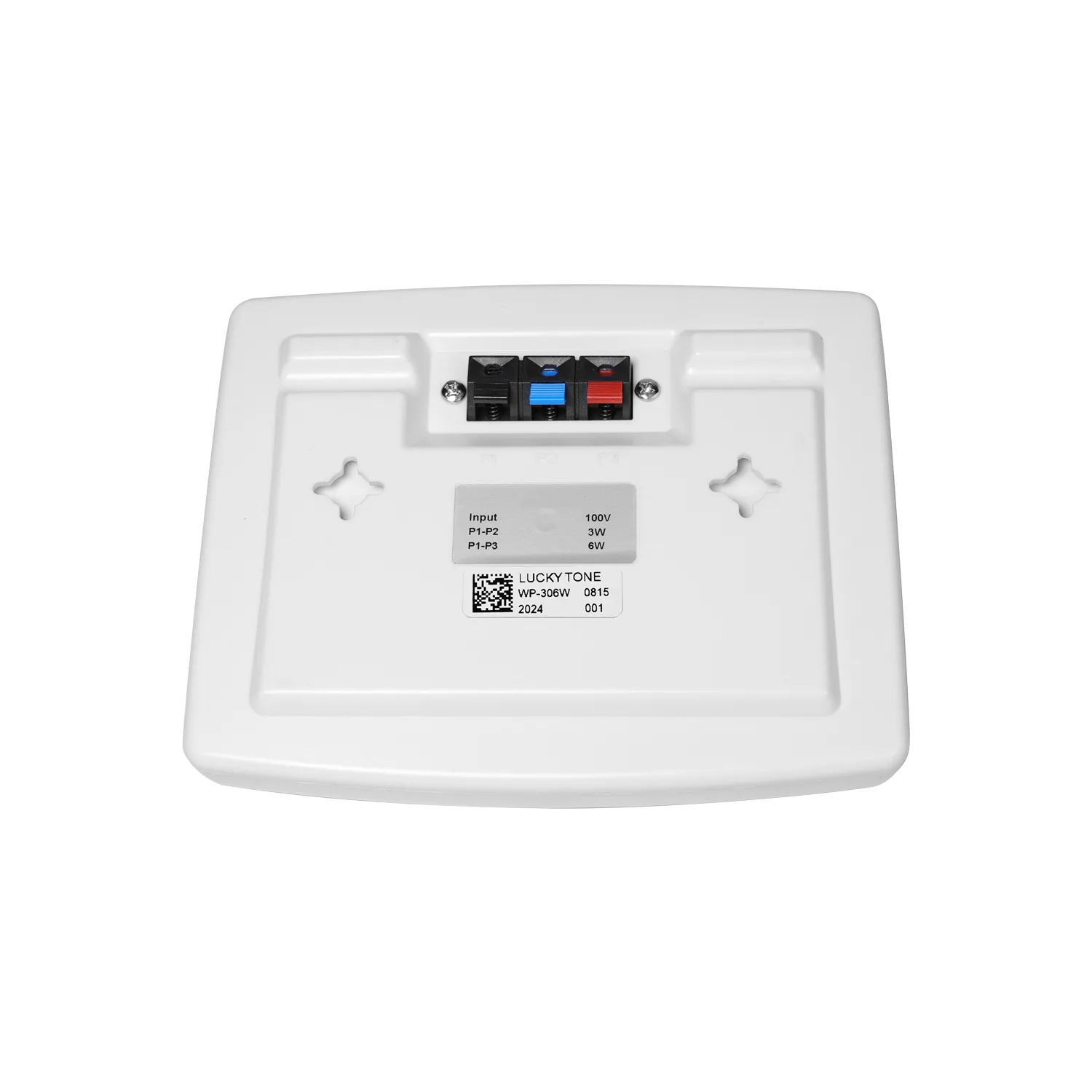 Wall Mount Speaker 3