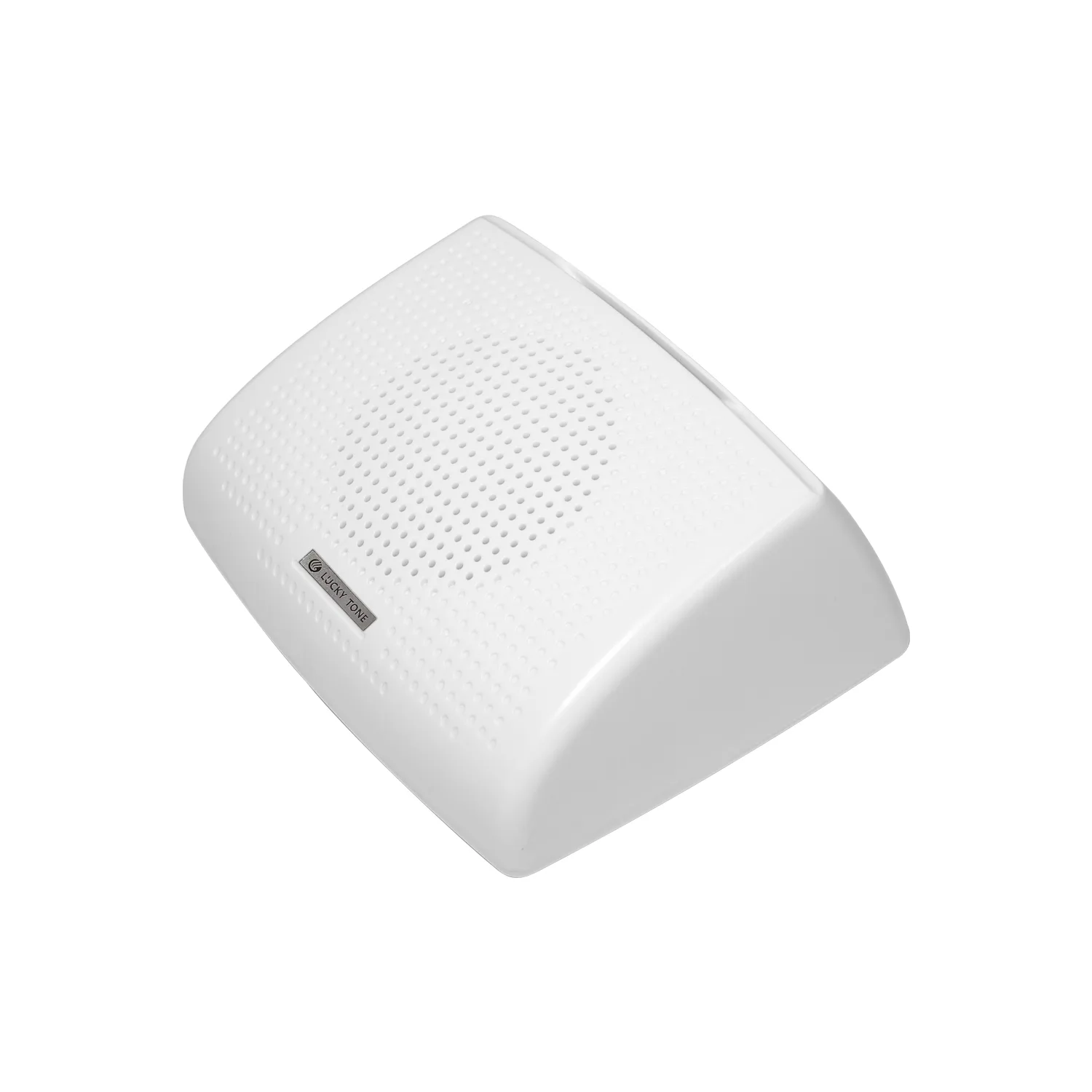 Wall Mount Speaker 4