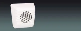 Wall Mounted Speaker
